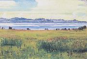 Ferdinand Hodler Lake Geneva from St Prex (nn02) china oil painting artist